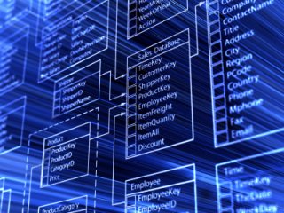 Software - ANSI C - DOS DBMS